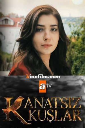 Kanatsız kuşlar 15 bölüm izle