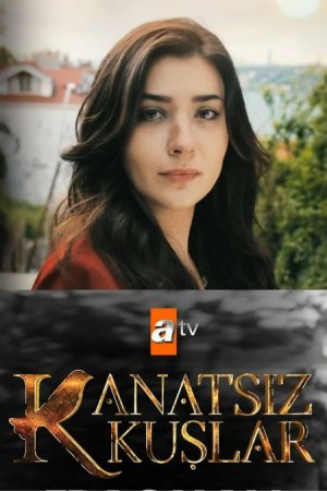 Птицы без крыльев - Kanatsiz Kuslar 28 серия (2017) смотреть онлайн турецкий сериал